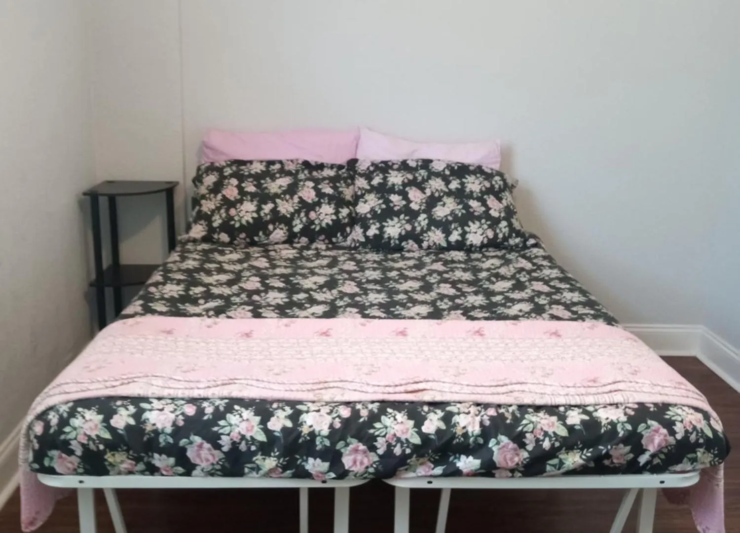 Rooster Hostel Tampa Guest house