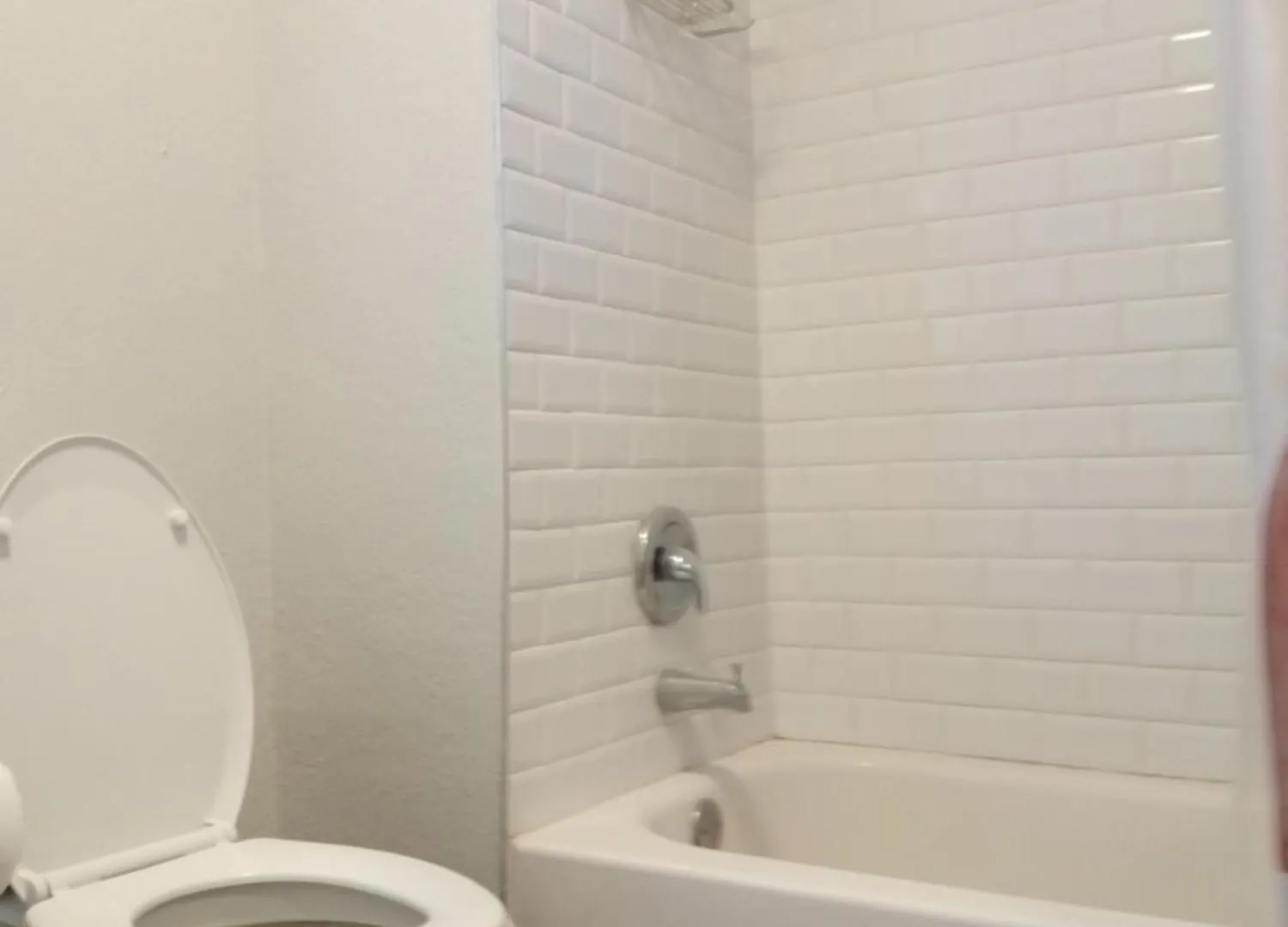 Rooster Hostel Tampa USA
